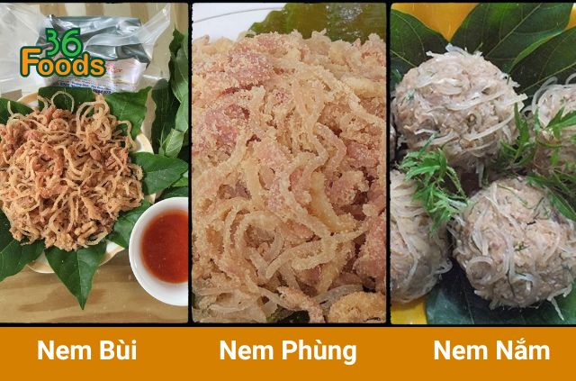 phan-biet-nem-bui